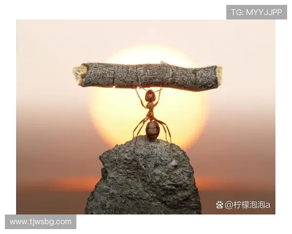 攀岩人生的深度对话：周芳如何在挑战中找到自我与激情