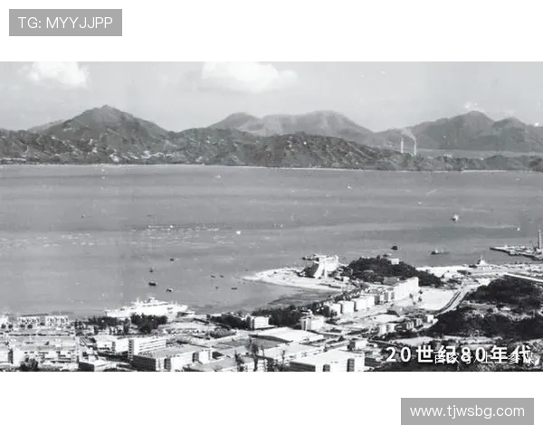 深圳乒乓球队逆袭之路深度解析与未来展望