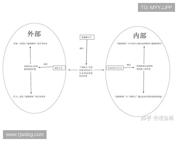 独家解析：WE意识形态的异同与影响深度分析