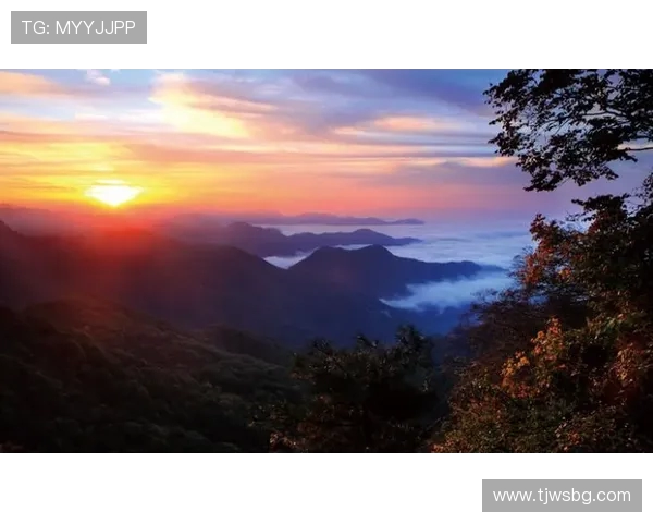 王静的攀岩人生:在高峰与深渊之间的深度对话与心灵探索 王静的攀岩人生:在高峰与深渊之间的深度对话与心灵探索