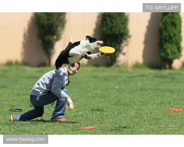 南京飞盘队在极限运动世界杯中的逆袭之路与荣耀时刻回顾